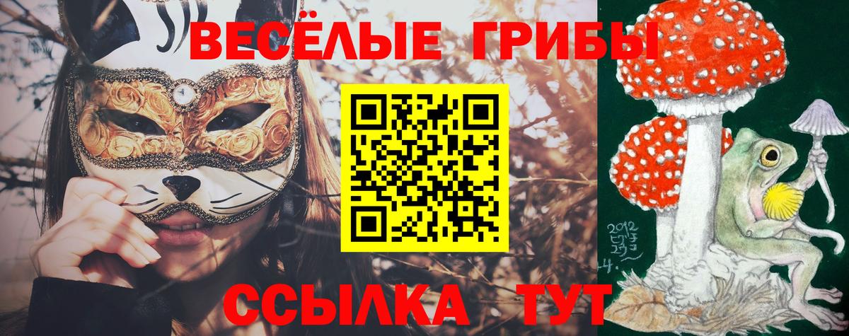 Галлюциногенные грибы GOLDEN TEACHER  купить наркотики сайты  Красноярск  Вход с VPN 