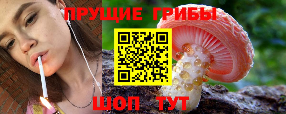 Псилоцибиновые грибы Psilocybine cubensis Красноярск