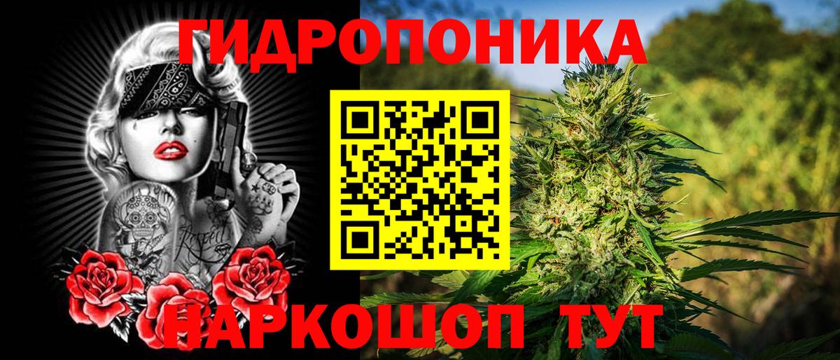 Бошки Шишки SATIVA & INDICA  Вход с VPN  Канабис тримм  Конопля конопля  Красноярск 